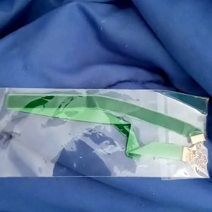 Green velvet neck chocker